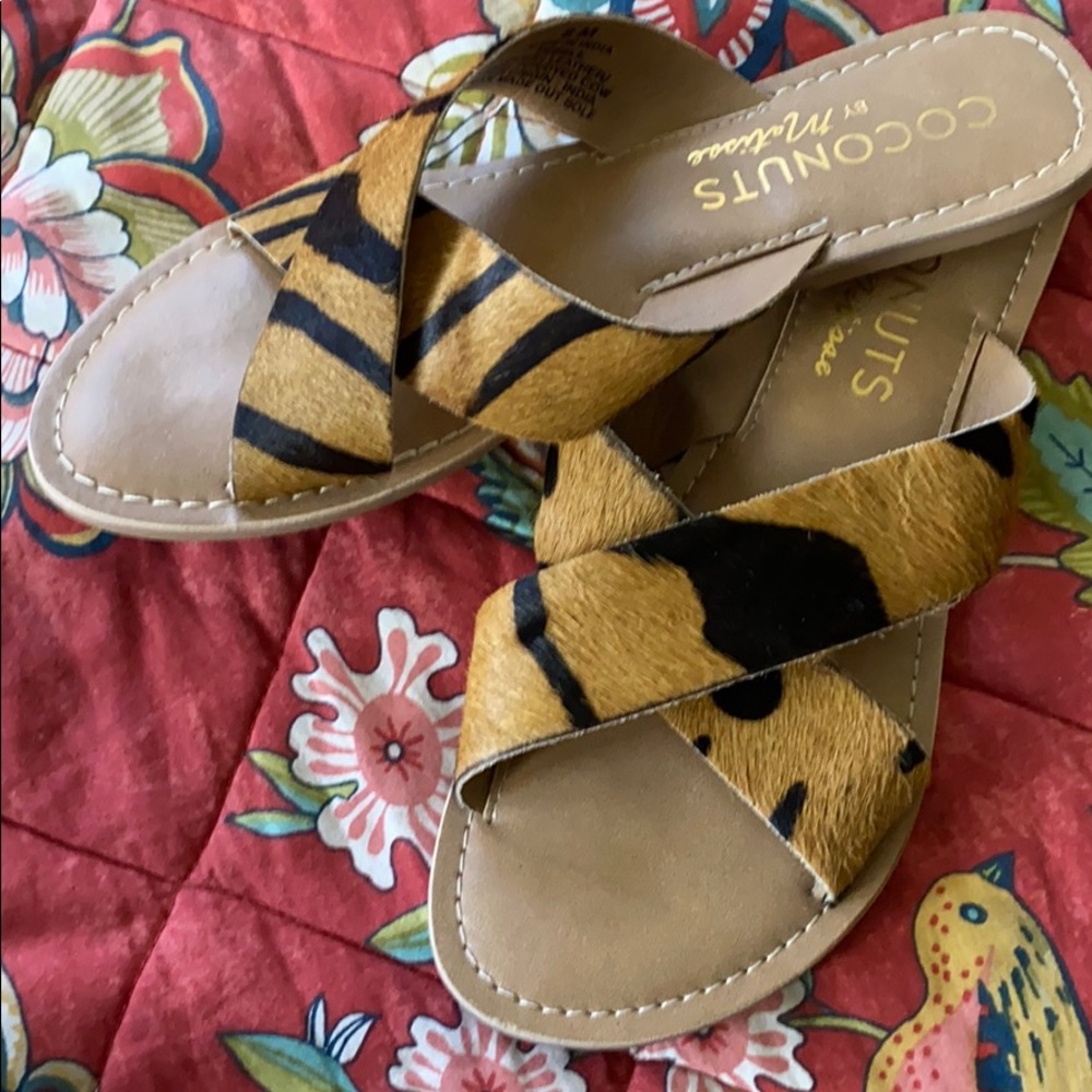 Coconuts zebra slide on sandals